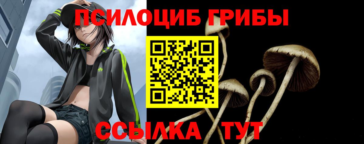 Галлюциногенные грибы Psilocybine cubensis Балаково